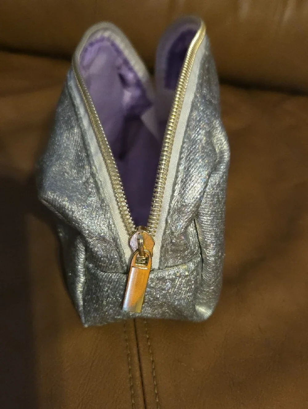 Silver Sparkle With Purple Liner Cosmetic Pouch - Women's Makeup Case